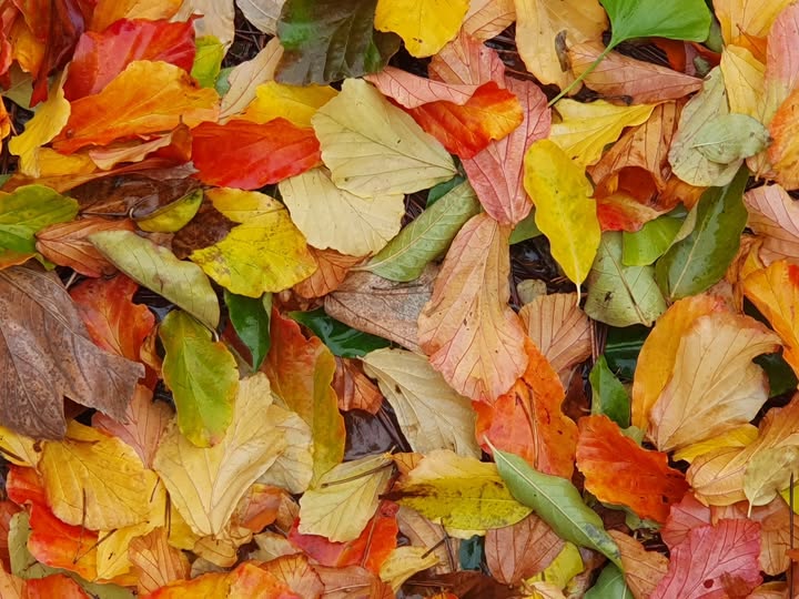 Photo : © Barbara Rousseau y