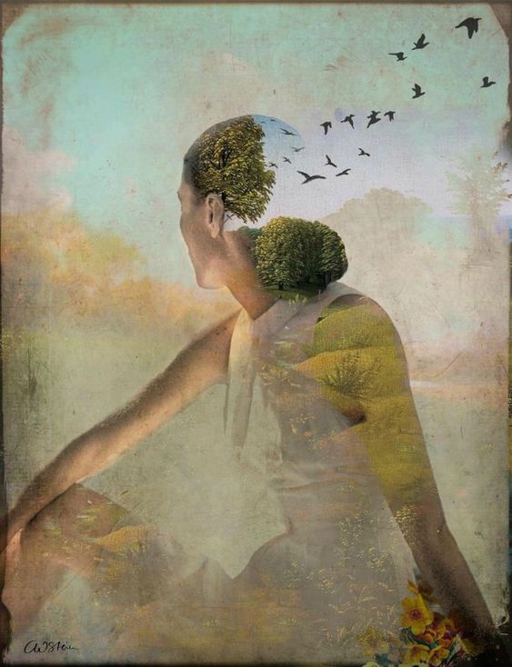Illustration : Copyright Catrin WELZ-STEIN y