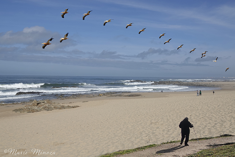 © Montage photos de Marie MINOZA y