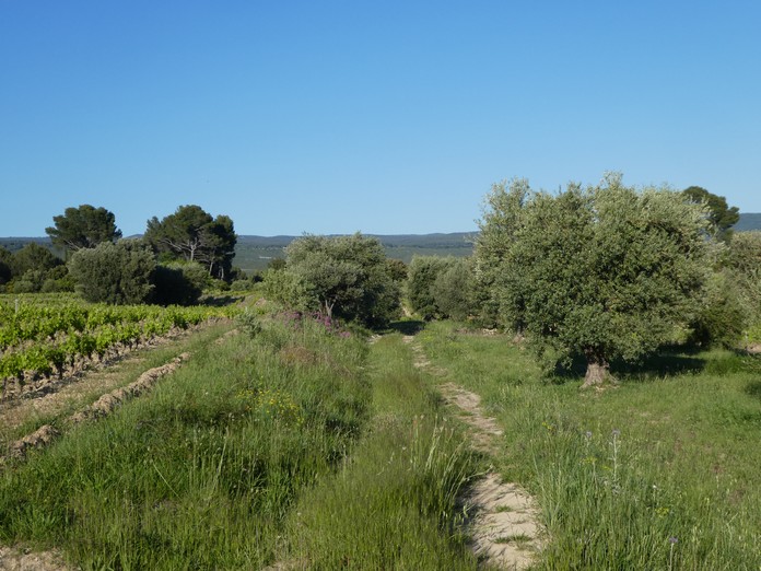 Sainte Anne du Castellet y