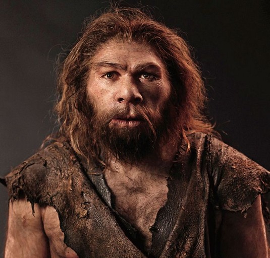 Homo sapiens y