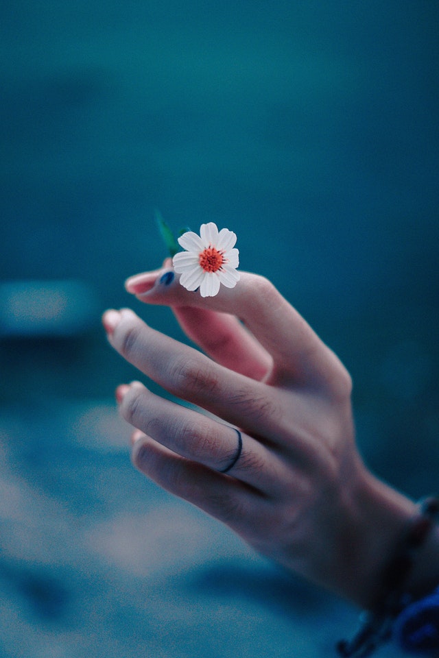 Photo de Kobe -: https://www.pexels.com/fr-fr/photo/photo-de-la-main-de-la-personne-tenant-une-petite-fleur-3014941/ y