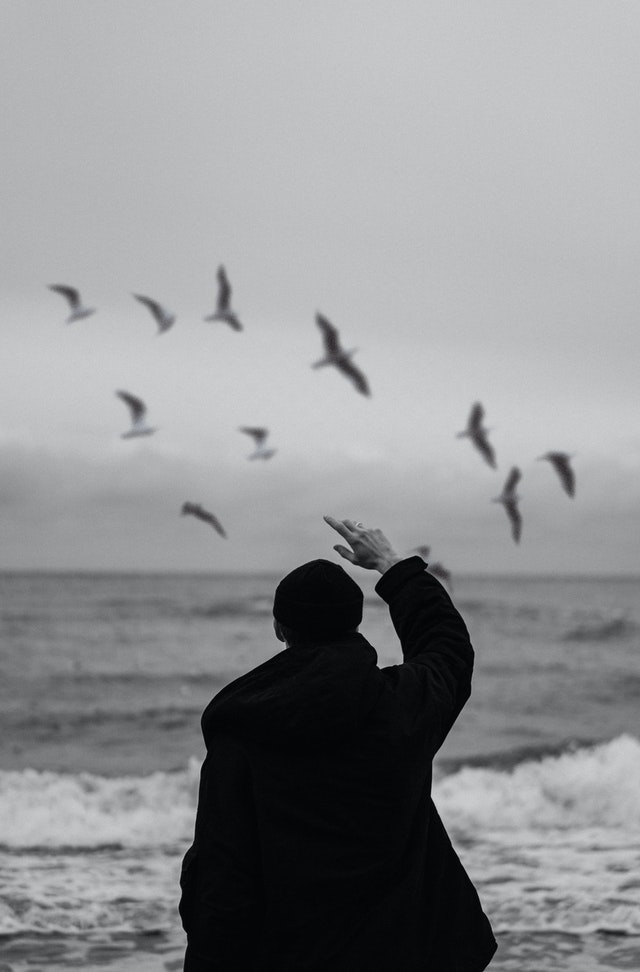 Photo de Александр Прокофьев: https://www.pexels.com/fr-fr/photo/noir-et-blanc-homme-personne-voler-9680553/ y