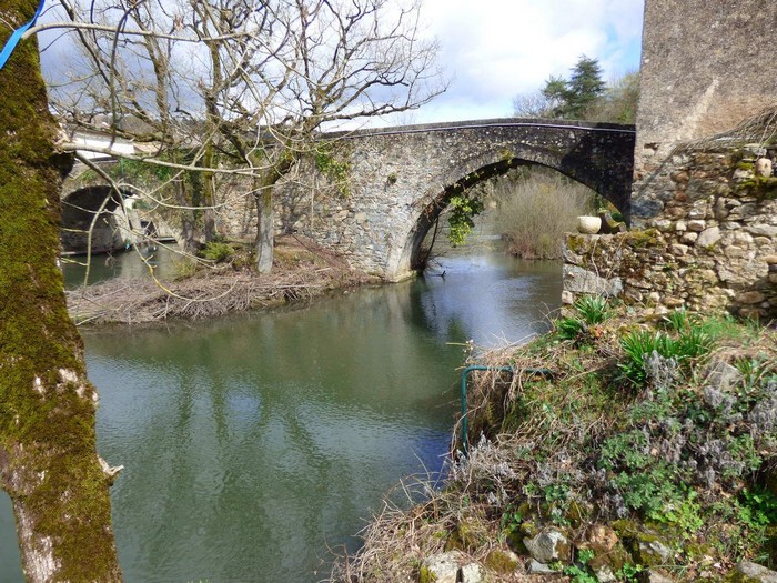 Vieux pont de Lafenasse (Tarn), © Nelly PEYRE y
